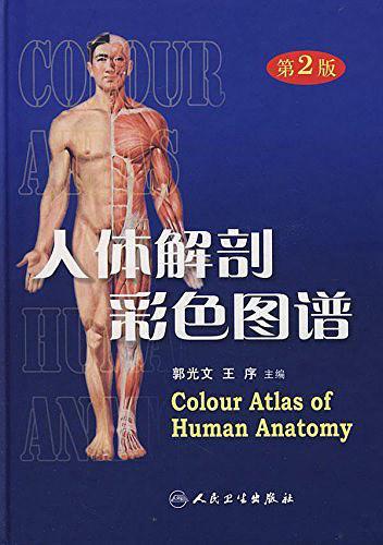 人体解剖彩色图谱-买卖二手书,就上旧书街