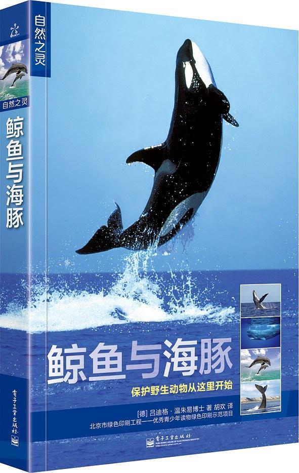鲸鱼与海豚