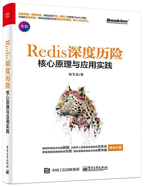 Redis 深度历险：核心原理与应用实践-买卖二手书,就上旧书街