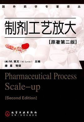 制剂工艺放大