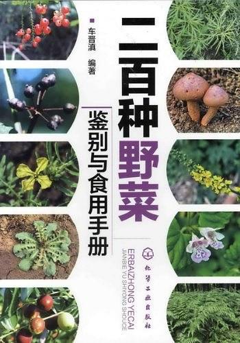 二百种野菜鉴别与食用手册-买卖二手书,就上旧书街