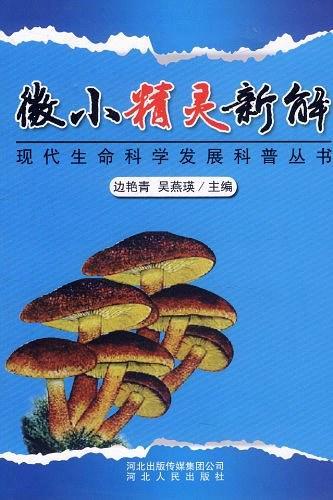 微小精灵新解