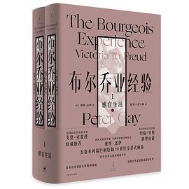 布尔乔亚经验 1