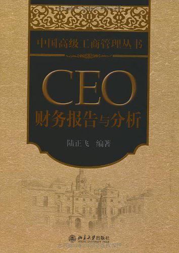 CEO财务报告与分析