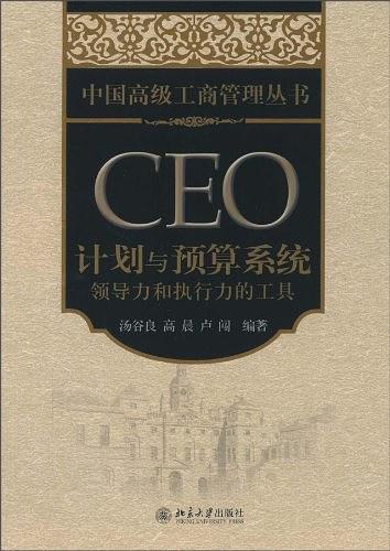 CEO计划与预算系统