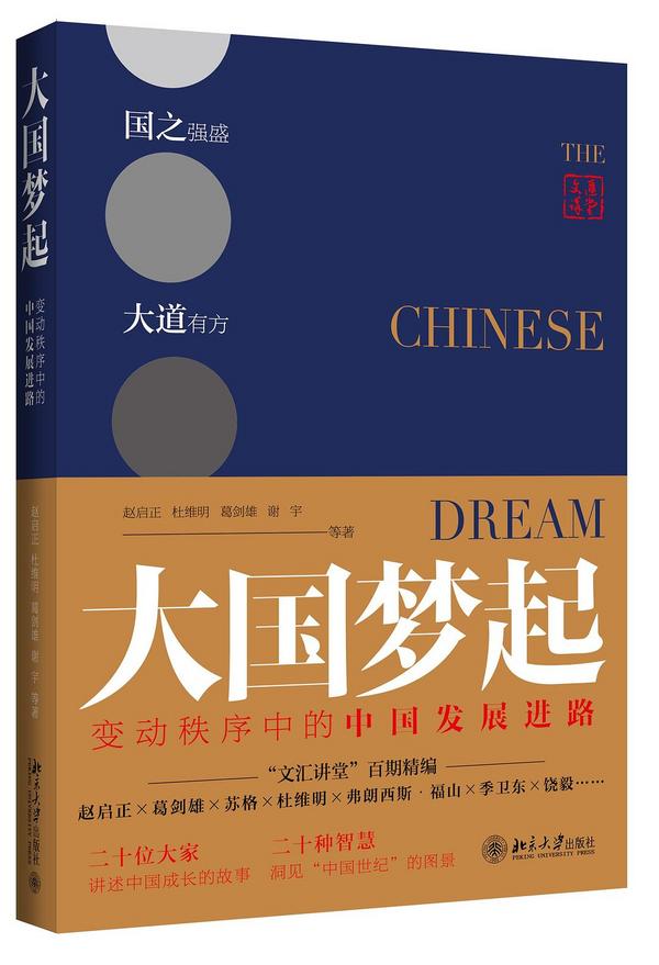《大国梦起：变动秩序中的中国发展进路》-买卖二手书,就上旧书街