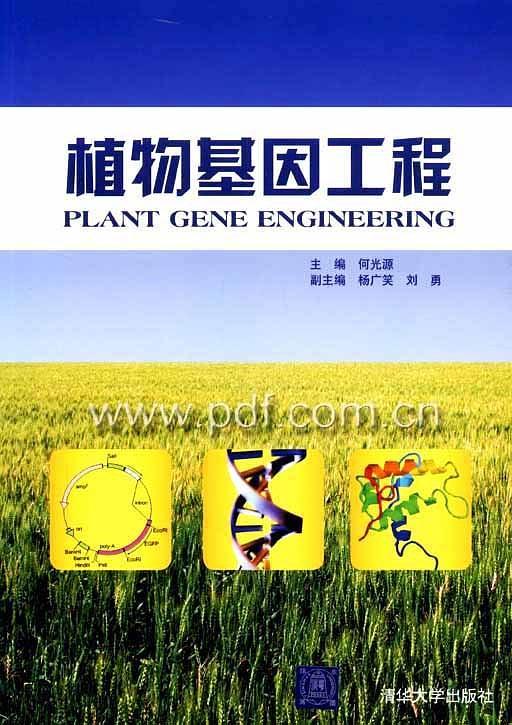 植物基因工程