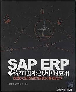 sap erp系统在电网