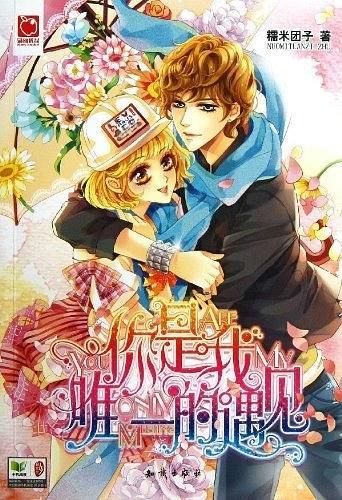 你是我唯一的遇见