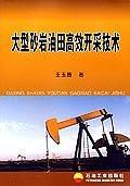 大型砂岩油田高效开采技术