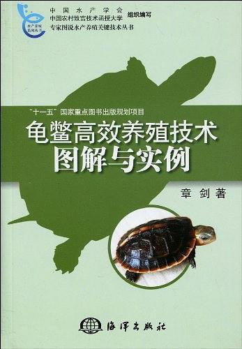 龟鳖高效养殖技术图解与实例
