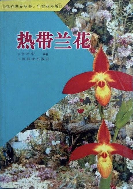 热带兰花