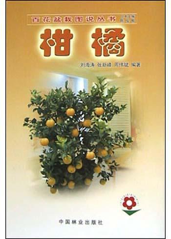 柑橘