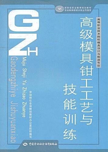 高级模具钳工工艺与技能训练