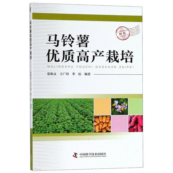 马铃薯优质高产栽培