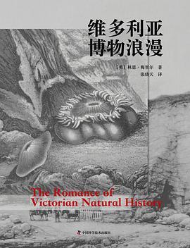 维多利亚博物浪漫