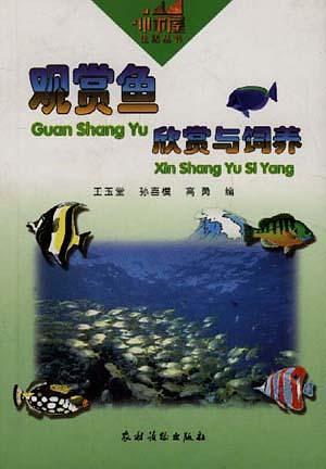 观赏鱼欣赏与饲养
