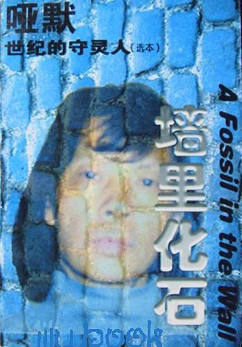 墙里化石