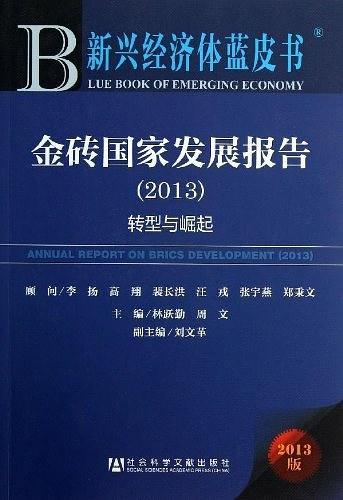 金砖国家发展报告