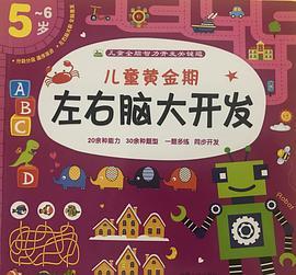 儿童黄金期左右脑大开发/儿童全脑智力开发关键题