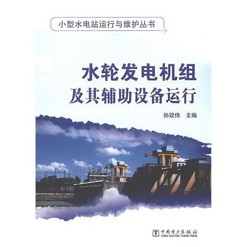 水轮发电机组及其辅助设备运行
