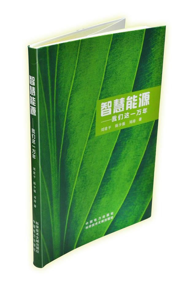 智慧能源我们这一万年