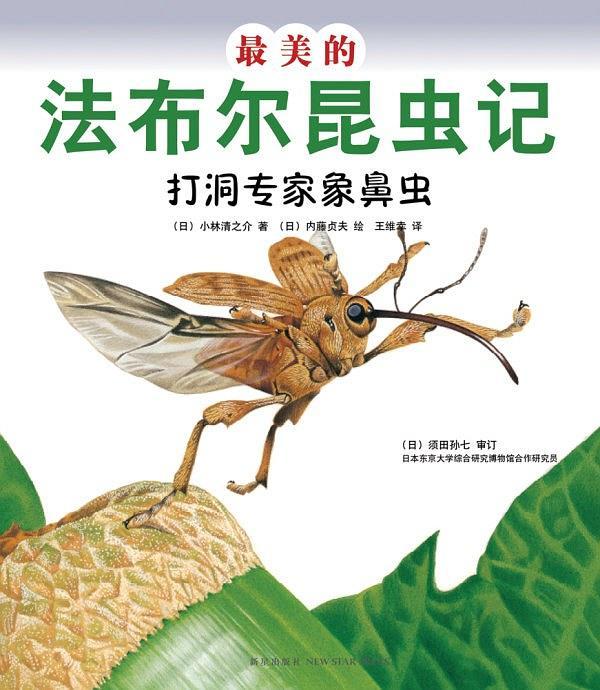 最美的法布尔昆虫记