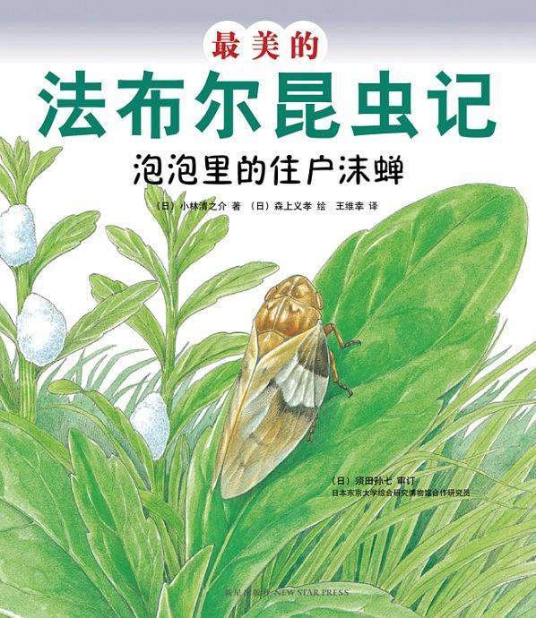 最美的法布尔昆虫记