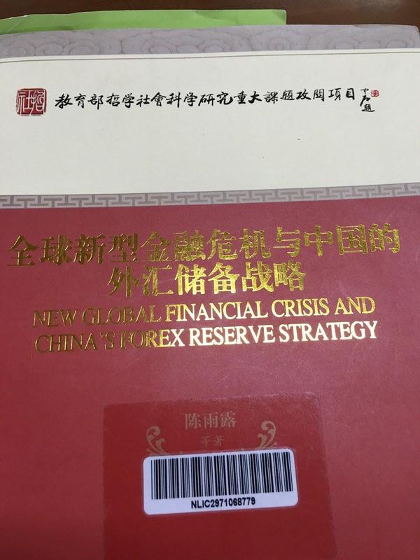 全球新型金融危机与中国的外汇储备战略