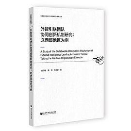 外智引联团队协同创新机制研究：以西部地区为例
