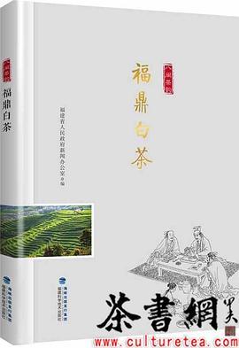 《福鼎白茶》