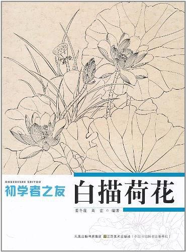 初学者之友-白描荷花