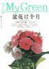 盆花12个月