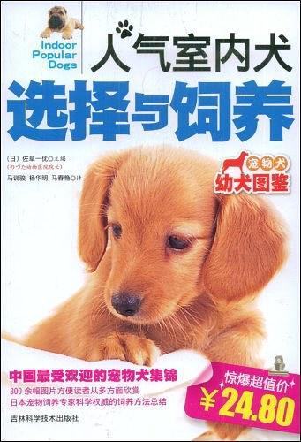 人气室内犬选择与饲养