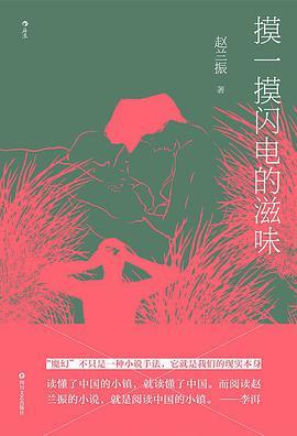 摸一摸闪电的滋味