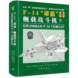 F-14“雄猫”舰载战斗机