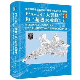 F/A-18“大黄蜂”和“超级大黄蜂”