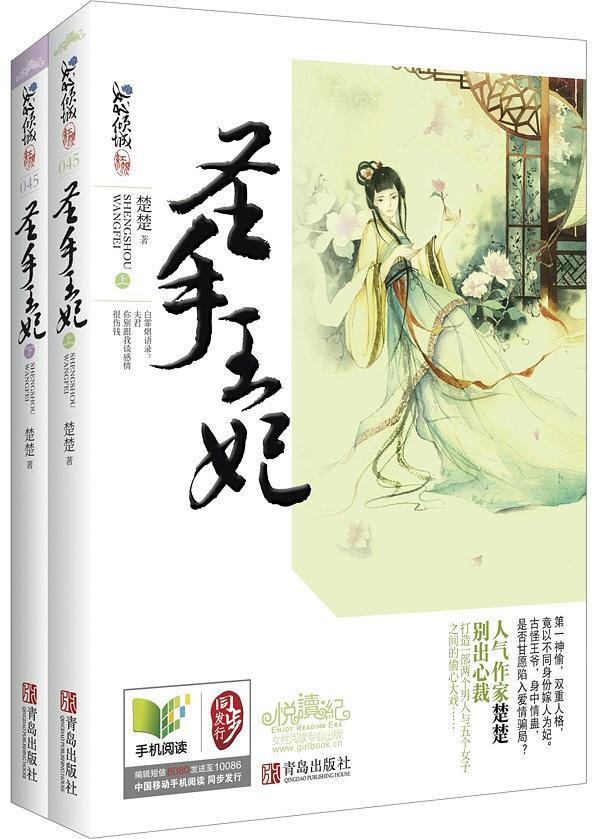 圣手王妃