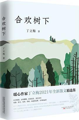 合欢树下