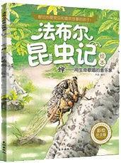 蝉：用生命唱歌的音乐家
