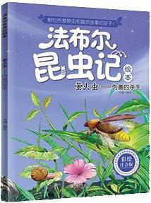 萤火虫：伪善的杀手