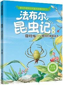 圆网蛛：精明的捕猎高手