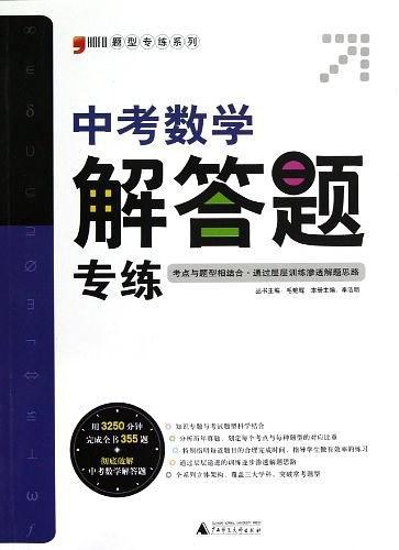 中考数学解答题专练/题型专练系列