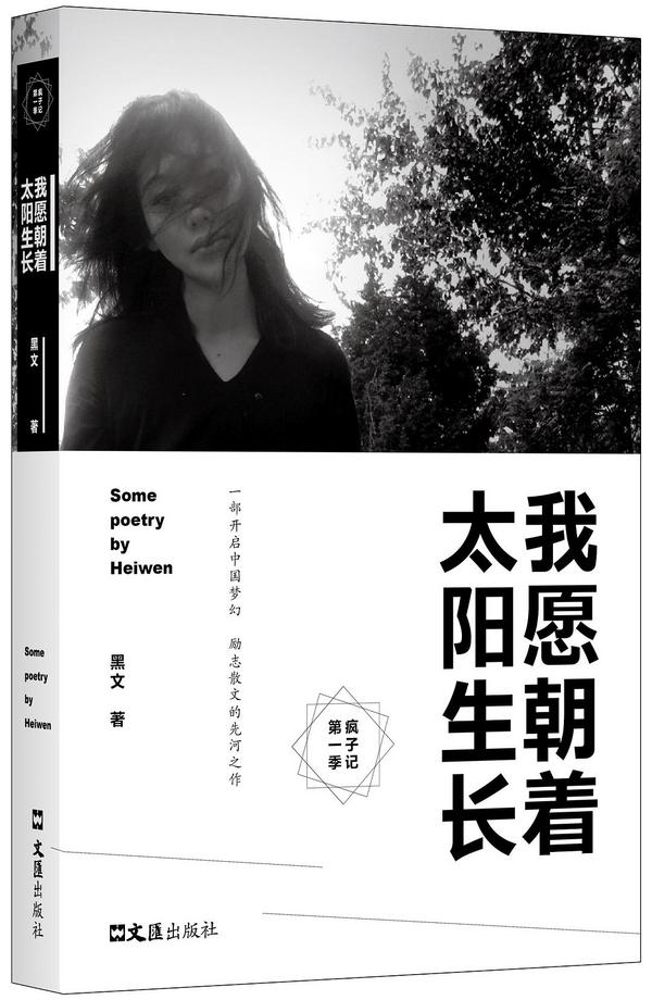 疯子记第一季