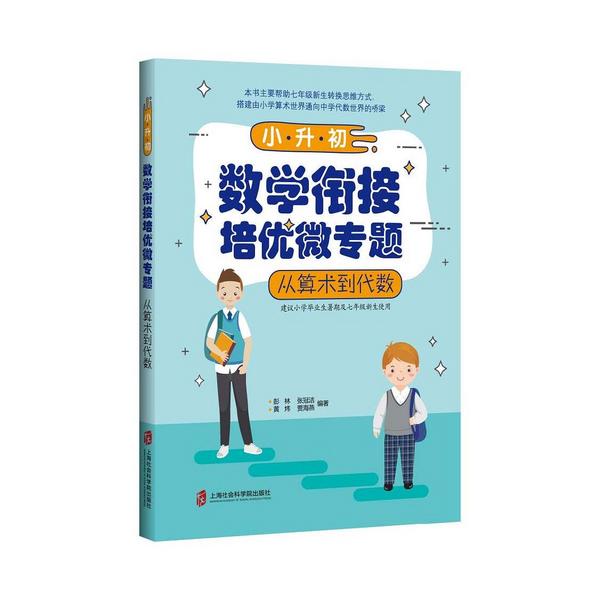 小升初数学衔接培优微专题 ——从算术到代数