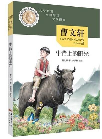 牛背上的阳光