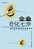 企业e化七步