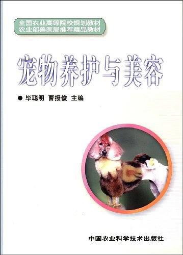 宠物养护与美容