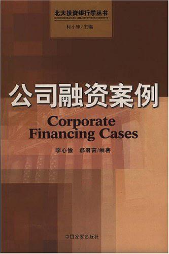公司融资案例