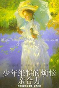 少年维特的烦恼